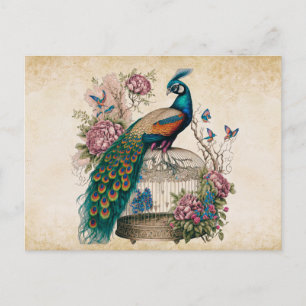 Carte Postale Peacock vintage sur Bird Cage Victorian