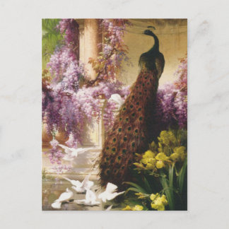 Carte Postale Peacocks et Doses
