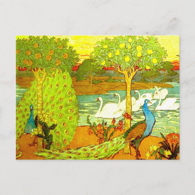 Carte Postale Peacocks et Swans Art Nouveau (Devant)