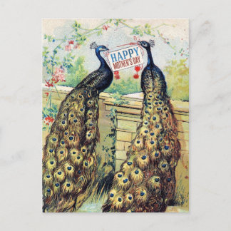 Carte Postale Peacocks vintages - Bonne fête des mères