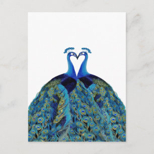 Carte Postale Peacocks vintages Embrasser les cadeaux de mariage