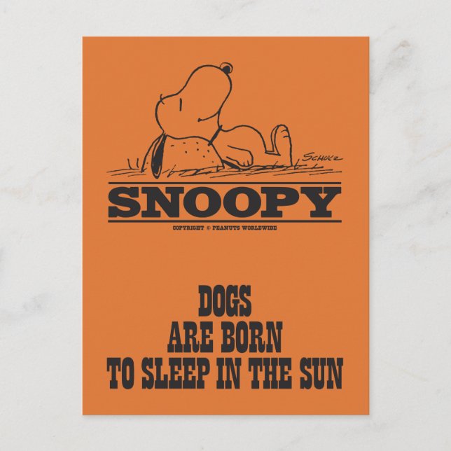 Carte Postale Peanuts | Snoopy dormant au soleil (Devant)