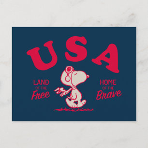Carte Postale Peanuts   Snoopy États-Unis Terre de liberté