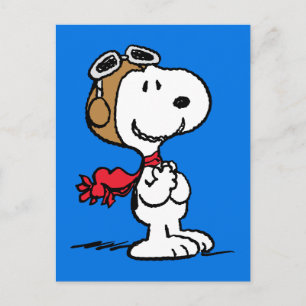 Carte Postale Peanuts   Snoopy l'as de l'aviation