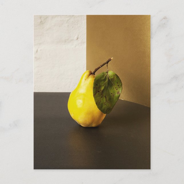 Carte postale Pear Still Life (Devant)