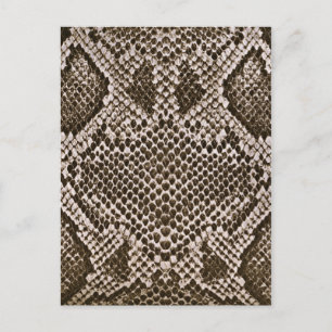 Carte Postale Peau de serpent