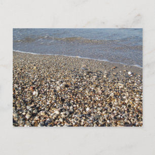 Carte postale Pebble Seashore