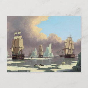 Carte Postale Pêche à la baleine du Nord : "Swan" & "Isabella"