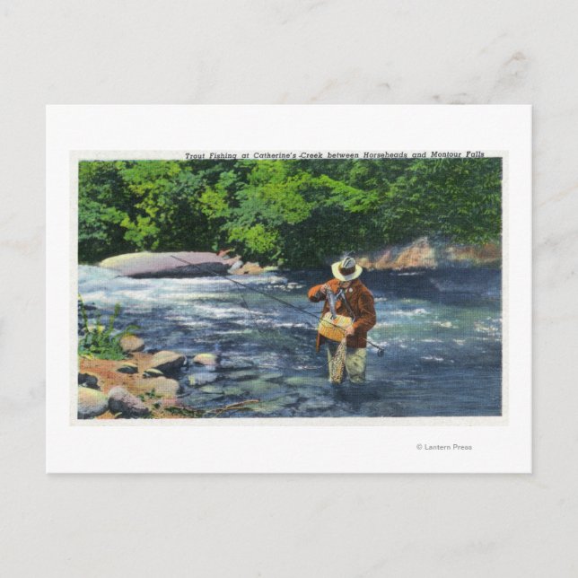 Carte Postale Pêche à la truite à Catherine's Creek (Devant)