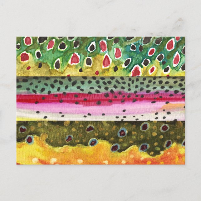 Carte Postale Pêche à la truite Brown, arc-en-ciel et omble de f (Devant)