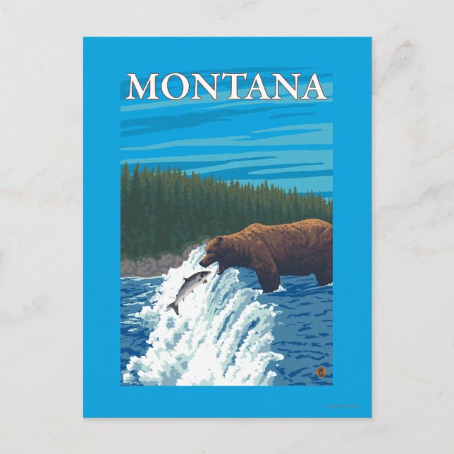 Carte Postale Pêche à l'ours dans la rivière - Montana (Devant)