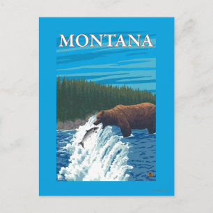 Carte Postale Pêche à l'ours dans la rivière - Montana