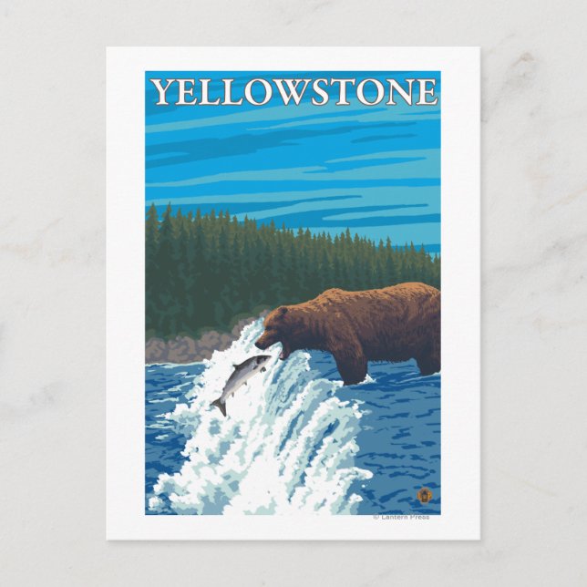 Carte Postale Pêche à l'ours dans la rivière - Yellowstone Natio (Devant)