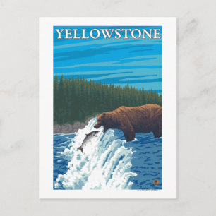 Carte Postale Pêche à l'ours dans la rivière - Yellowstone Natio