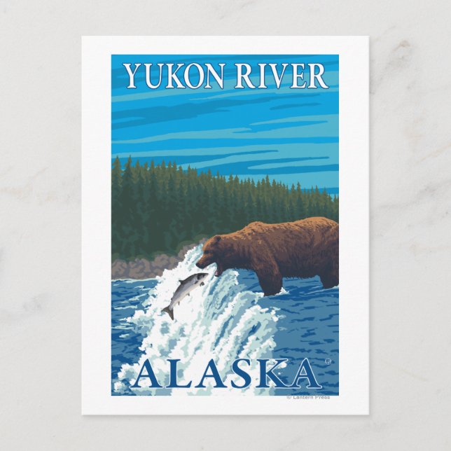 Carte Postale Pêche à l'ours dans la rivière - Yukon River, Alas (Devant)
