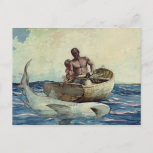 Carte Postale Pêche au requin, 1885