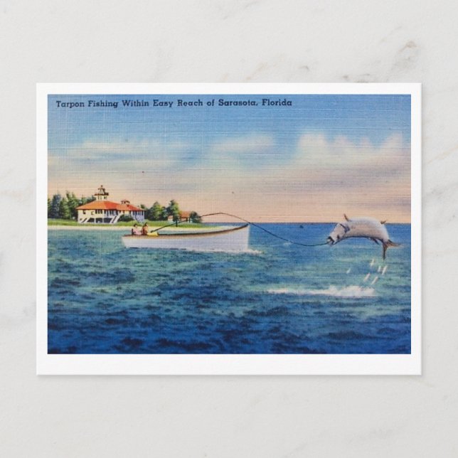 Carte Postale Pêche au Tarpon en Floride (Devant)