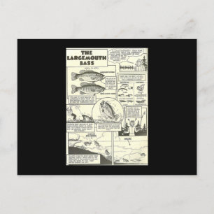 Carte Postale Pêche Bande dessinée Conseils Bass Baits mignon