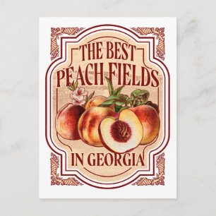 Carte Postale Pêche vintage Étiquette Georgia Peachs
