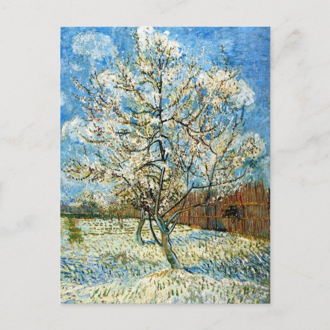 Carte Postale Pêcher les arbres en fleurs Vincent Van Gogh (Devant)