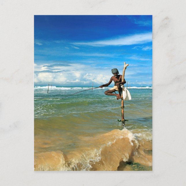 Carte Postale Pêcheur à bâtons du Sri Lanka (Devant)