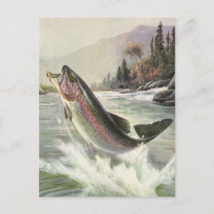 Carte Postale Pêcheur vintage de truite arc-en-ciel Pêche du poi