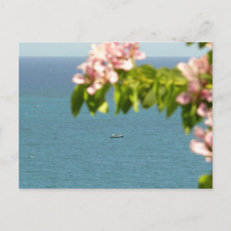 Carte Postale Pecheurs au Travail - Martinique, FWI