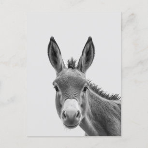 Carte Postale Peeking Sneaky Donkey Cute