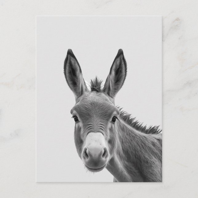 Carte Postale Peeking Sneaky Donkey Cute (Devant)