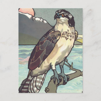 Carte Postale Peindre par nombre Hawk