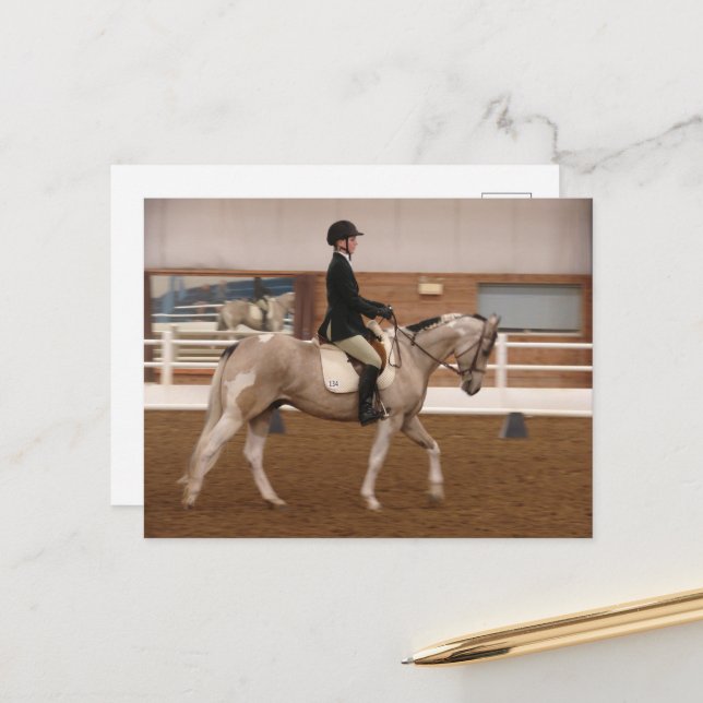 Carte Postale Peindre un cheval à un spectacle de chevaux (Devant/Arrière en situation)