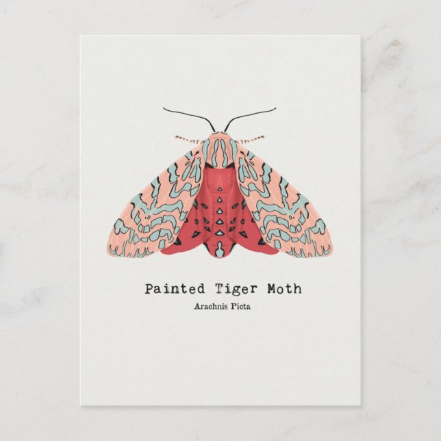 Carte postale Peint Tiger Moth (Devant)