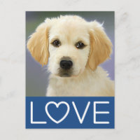 Carte postale peinte de chiot Golden Retriever ado