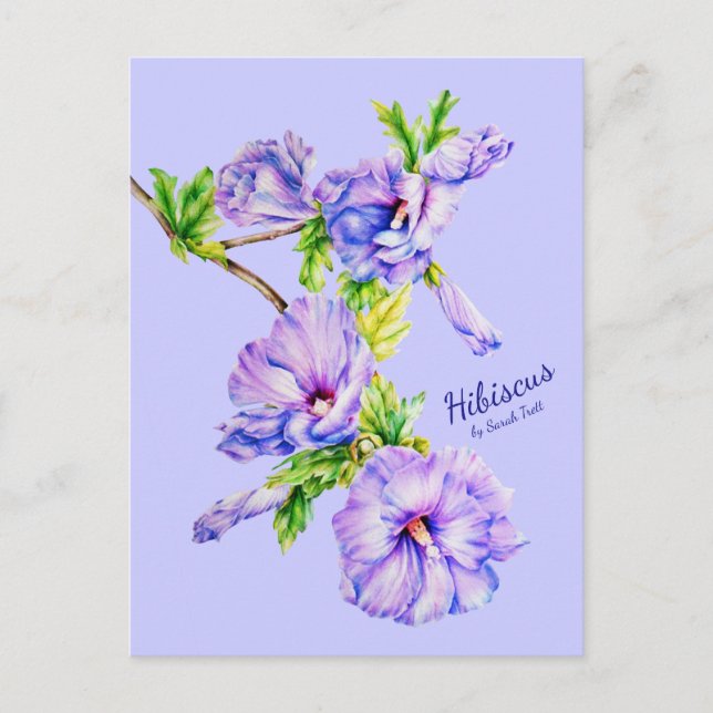 Carte postale peinte Hibiscus syriacus bleu art (Devant)