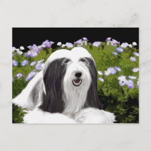 Carte Postale Peinture à collie à poils - Joli art original de c
