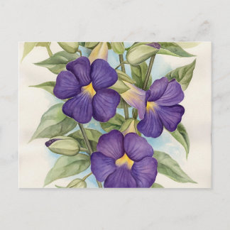Carte Postale Peinture à fleurs tropicales pourpres - Multi