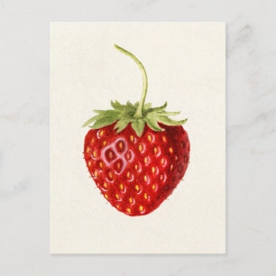 Carte Postale Peinture à l'aquarelle de fraise (Fragaria)