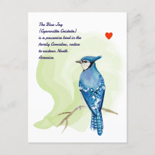 Carte Postale peinture à l'aquarelle de jais bleu