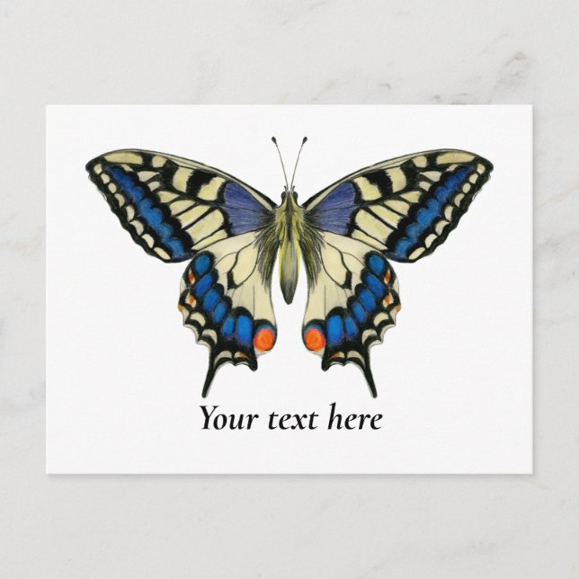 Carte postale Peinture à l'aquarelle de papillon S (Devant)