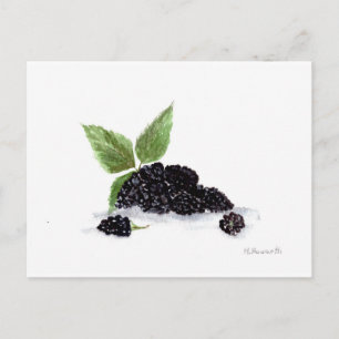 Carte Postale Peinture à l'aquarelle des fruits de Blackberry