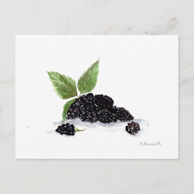 Carte Postale Peinture à l'aquarelle des fruits de Blackberry (Devant)