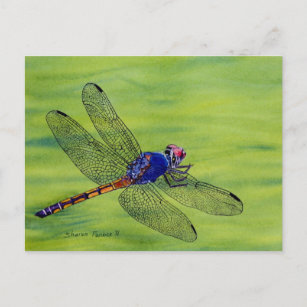 Carte Postale Peinture à l'aquarelle des libellules
