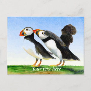 Carte Postale Peinture à l'aquarelle d'Oiseau de Puffin