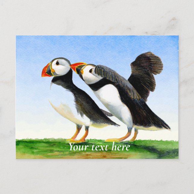 Carte Postale Peinture à l'aquarelle d'Oiseau de Puffin (Devant)