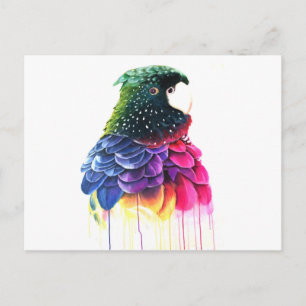 Carte Postale Peinture à l'huile Abstraite d'oiseaux perroquets
