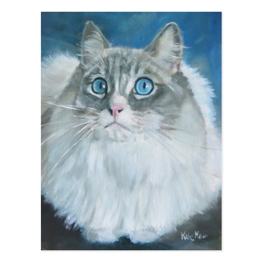 Carte Postale Peinture A L Huile De Chat De Ragdoll Zazzle Fr