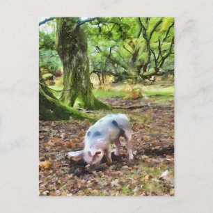 Carte Postale Peinture à l'huile de porc