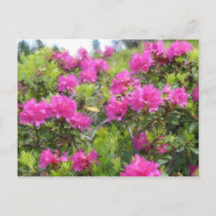 Carte Postale Peinture à l'huile de rhododendron rose alpin