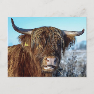 Carte Postale Peinture à l'huile de vache de boeuf Shaggy Highla