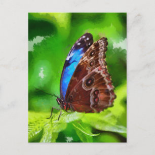 Carte Postale Peinture à papillon